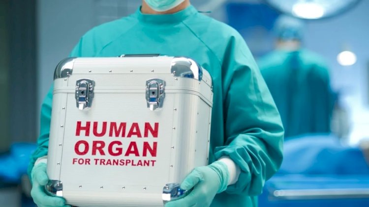    1400-dən artıq şəxs orqan və toxuma transplantasiyası üçün növbə gözləyir -   Rəsmi