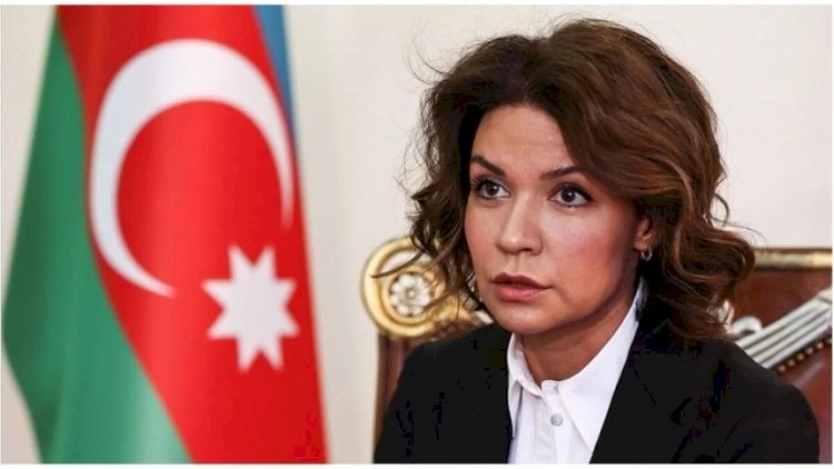    Keçmiş baş konsul səfir təyin olundu   