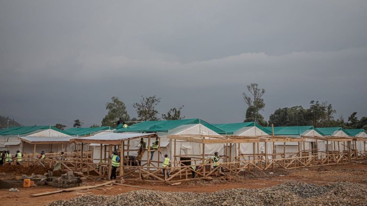    Ebola daha bir vilayətə yayıldı – Ölənlərin sayı 2 mini keçdi   