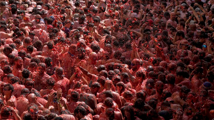    İnsanlar bir-birinə pomidor atırlar -   FOTOLAR