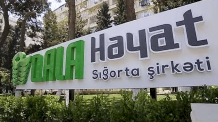    “Qala Həyat”ın sığorta haqları azalıb, ödənişləri kəskin artıb   