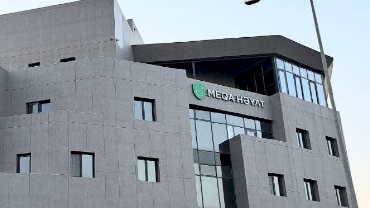    “Meqa Həyat Sığorta”nın xalis mənfəəti azalıb   