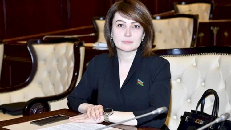    Sabiq deputat tələbə oldu   