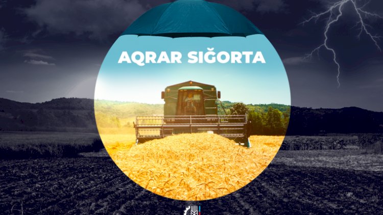    “Aqrar Sığorta”nın sığorta ödənişləri azalıb   