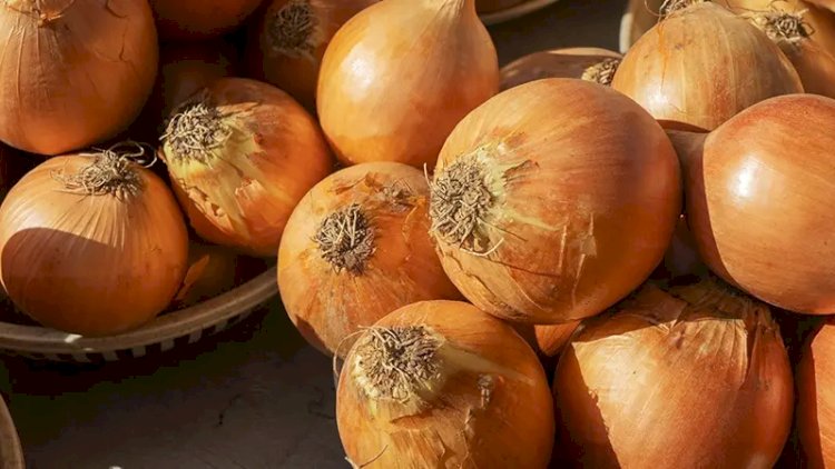    Azərbaycanın soğan ixracı kəskin artıb   