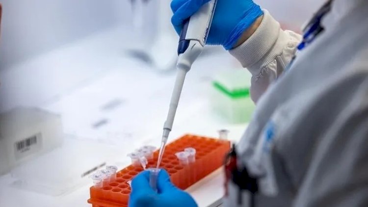    Yarmarka və sərgilər dayandırıldı -   Virus həyəcanı gündəmdə