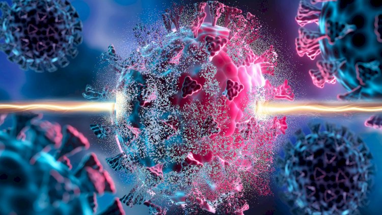    Yeni virus tapıldı -   Bu heyvandan insana keçir