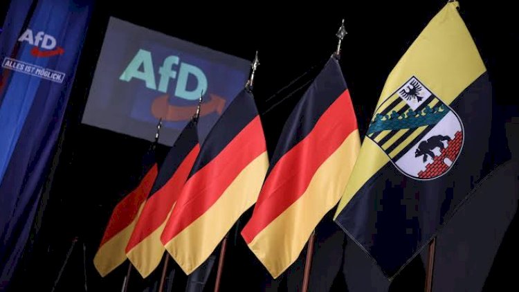    AfD daha bir vilayətdə qələbə qazandı   