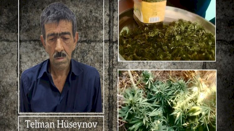   Ucarda narkotik yetişdirən şəxsə cinayət işi açıldı   