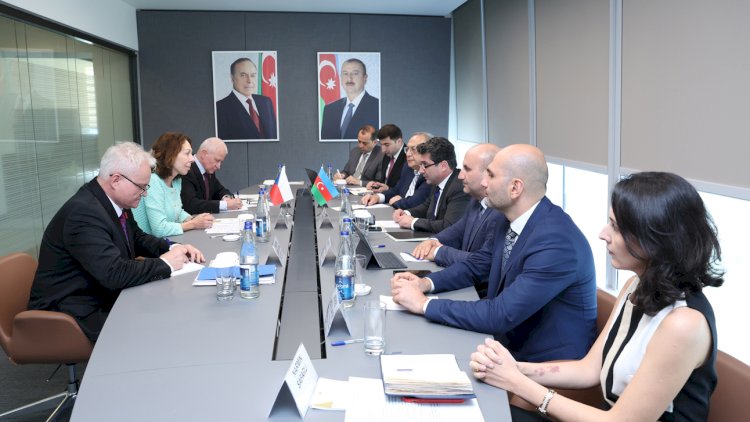    Azərbaycan və Çexiya iqtisadi əlaqələri genişləndirir   