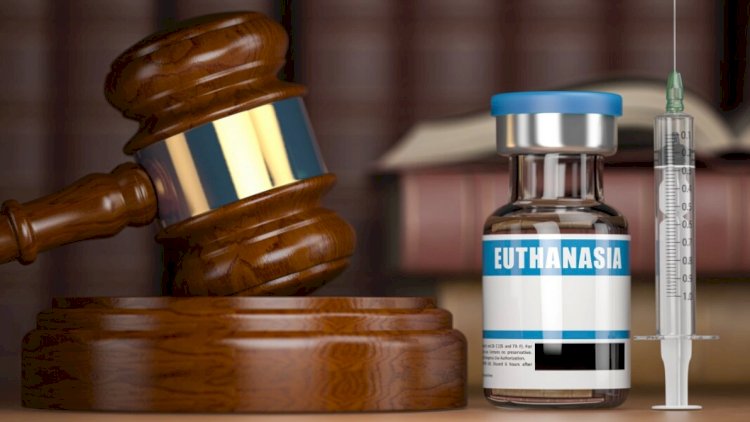    43 yaşlı aktyorun faciəli sonu - Evtanaziyanı seçdi   