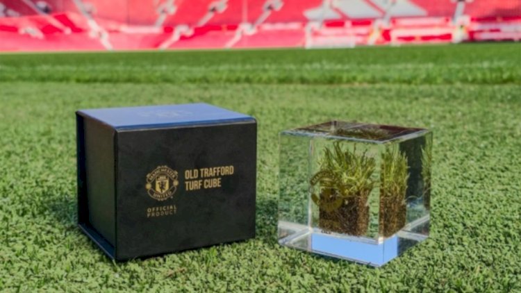    Əfsanəvi stadionun ot örtüyü satışa çıxarıldı   