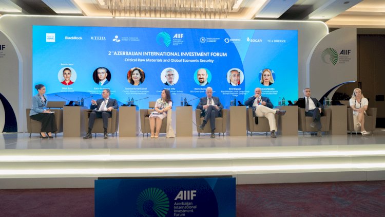 “Kritik xammal və qlobal iqtisadi təhlükəsizlik” mövzusunda panel sessiya keçirilib