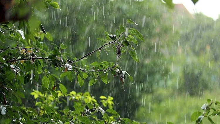    Oktyabrda havanın orta aylıq temperaturu normadan bir qədər yüksək olacaq   