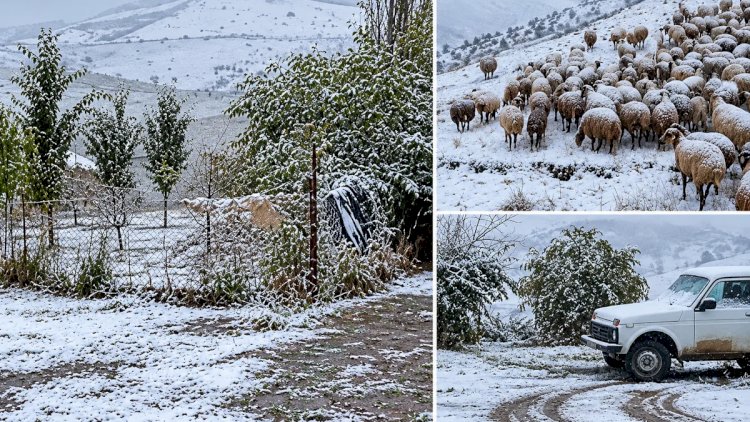    Bu ərazilərə qar yağır - Foto   
