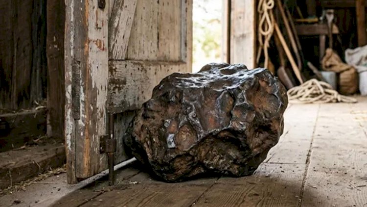    10 kiloqramlıq “daş” 75 min dollara satıldı – Səbəbi şok etdi   