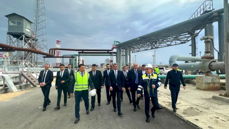    Bakı ilə Aktau və Kurık limanları arasında əməkdaşlığın inkişaf etdirilməsi müzakirə olundu   