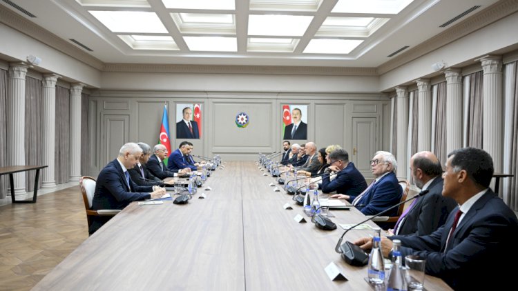    Əli Əsədov paralimpiya komitələrinin rəhbər şəxsləri ilə görüşdü   
