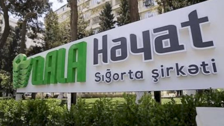    “Qala Həyat Sığorta”nın gəlirləri 2,6 milyon manat azalıb   