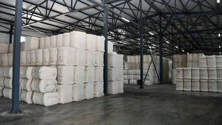    Azərbaycanın pambıq lifi ixracı 152 milyon dolları keçib   