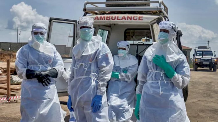    Bu virus 4 mindən çox insanı öldürdü -   Həyəcan təbili