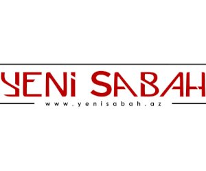    Azərbaycanlı alimlər amerikalı həmkarlarının səhvini tapdılar   