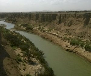    Ölü toyuqları çaya atan sahibkar cəzalandırıldı   