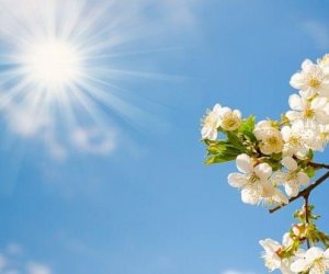    Sabahın HAVASI: 27 dərəcə isti olacaq   