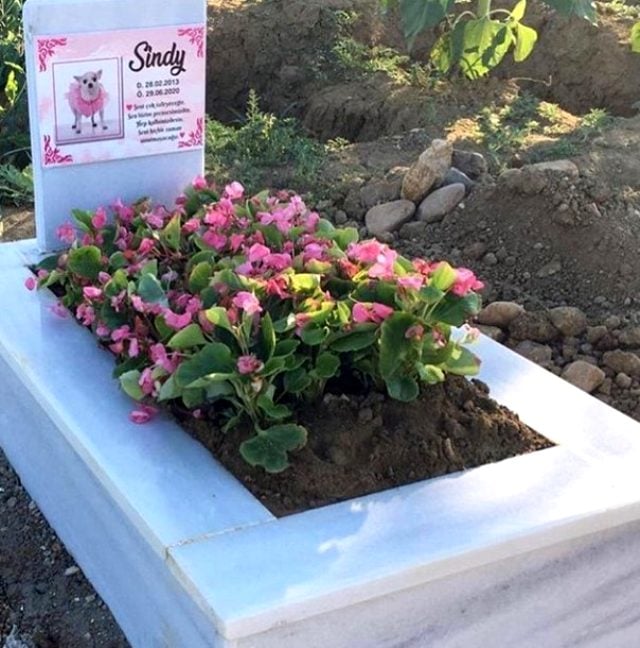 Ölən itləri üçün dəbdəbəli qəbir düzəltdilər - Fotolar Ölən itləri üçün dəbdəbəli qəbir düzəltdilər - Fotolar
